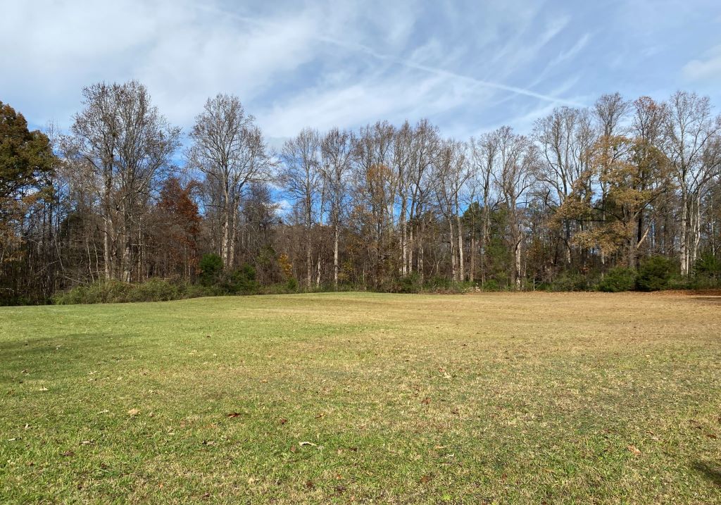 future site Gibsonville library